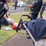 mom-mauled-by-dogs-while-pushing-baby-in-stroller