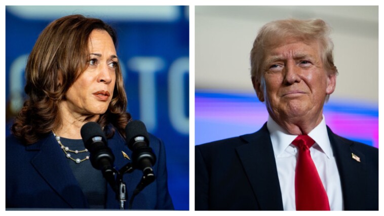 ‘still-a-san-francisco-radical’:-trump-says-he-agrees-that-kamala’s-‘values’-haven’t-changed