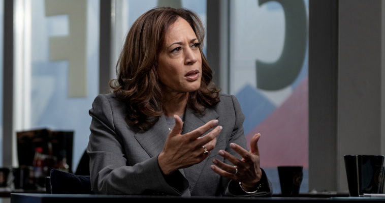 kamala-doubles-down-on-pushing-price-controls