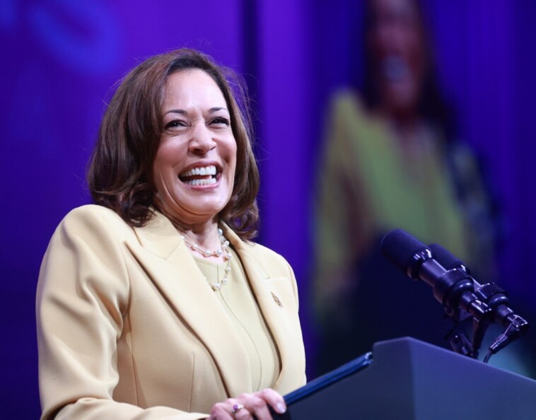 harris-tells-church-conference-‘we-are-not-going-back’-—-after-it-votes-to-ban-gay-marriage