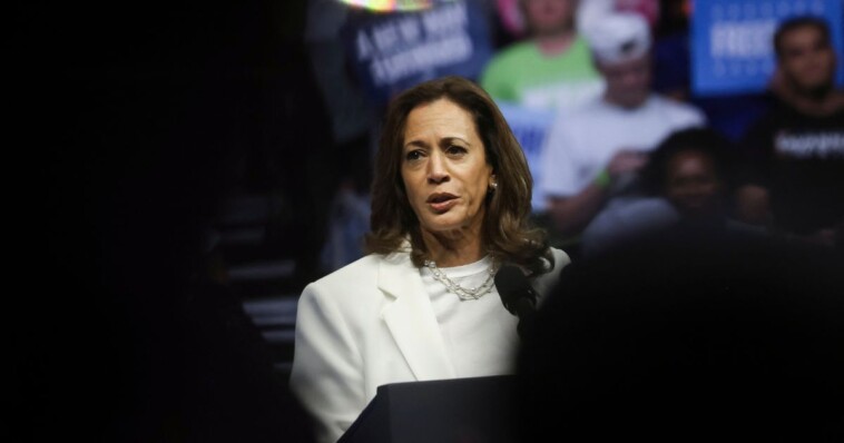 journalist-warns-bill-maher-that-young-men-are-breaking-over-to-trump,-and-it-could-prove-fatal-for-the-harris-campaign