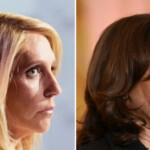 cnn’s-dana-bash-exposed-kamala-harris’s-doublespeak-on-bidenomics