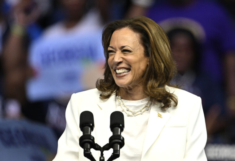 ‘unconstitutional’:-key-kamala-tax-policy-is-so-crazy,-even-legacy-media-is-calling-it-out