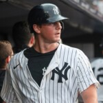 anthony-rizzo’s-return-means-murky-yankees-future-for-dj-lemahieu