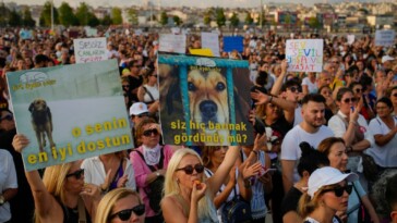 thousands-of-turks-protest-controversial-law-to-remove-stray-dogs-over-fears-animals-will-be-killed,-end-up-in-disease-ridden-shelters