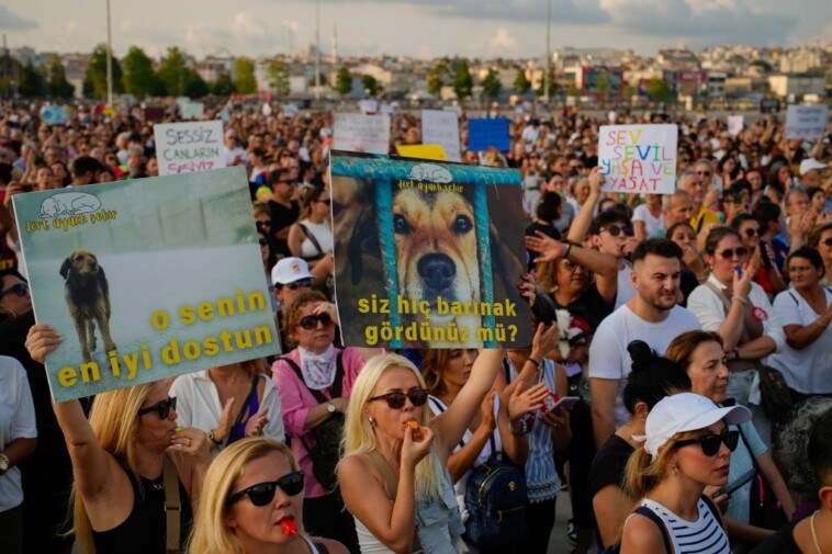 thousands-of-turks-protest-controversial-law-to-remove-stray-dogs-over-fears-animals-will-be-killed,-end-up-in-disease-ridden-shelters