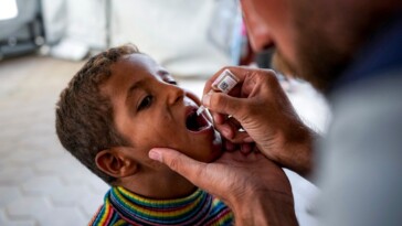 polio-vaccinations-begin-in-war-torn-gaza-after-first-case-in-25-years-emerges