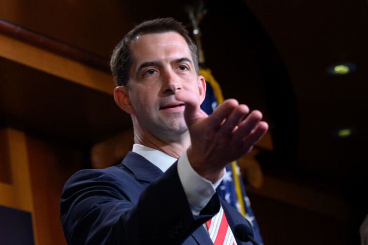 tom-cotton-hits-nbc-news’-kristen-welker-for-promoting-false-democrat-attack