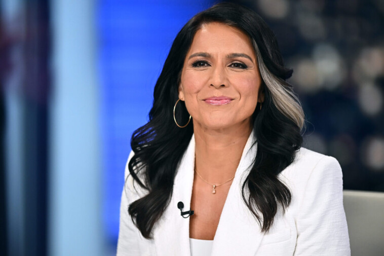 gabbard-wrecks-cnn’s-bash-for-pushing-democrat-attacks-on-trump-visiting-fallen-soldiers