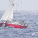 mom,-child,-tortoise-and-cat-rescued-925-miles-off-hawaii-coast-during-hurricane-gilma