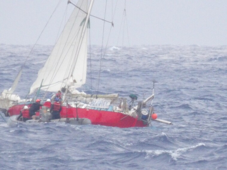 mom,-child,-tortoise-and-cat-rescued-925-miles-off-hawaii-coast-during-hurricane-gilma