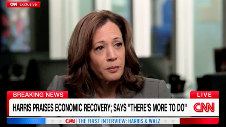 44-days:-kamala-harris-has-yet-to-do-formal-press-conference-since-emerging-as-democratic-nominee