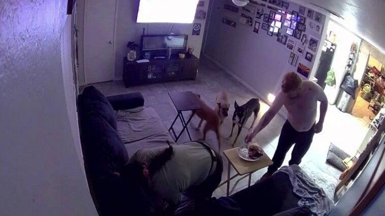 couple,-their-dogs-miraculously-escape-serious-injury-when-car-plows-into-phoenix-home:-wild-video