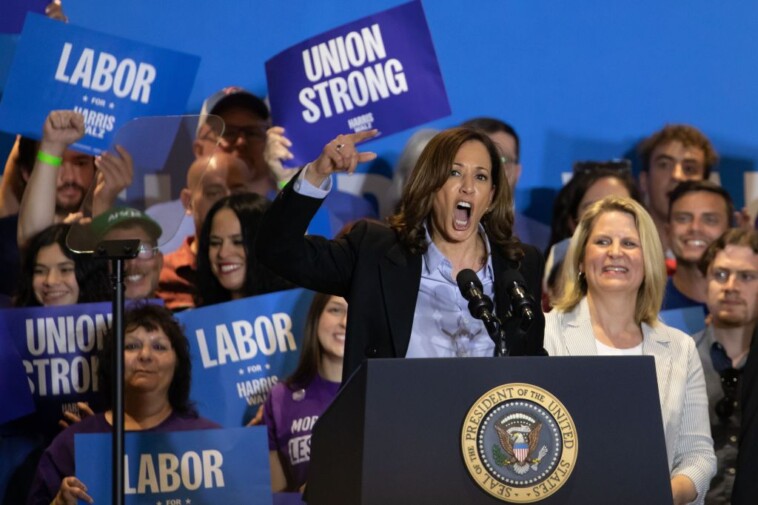 harris-adopted-‘union-joe’s’-playbook,-but-this-member-isn’t-buying-it:-‘kamala-is-reading-off-a-script’