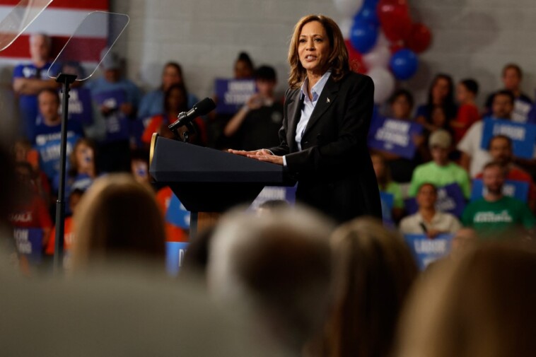 these-pollsters-were-right-in-2016-and-2020-—-and-they-think-harris-has-already-lost-her-mojo