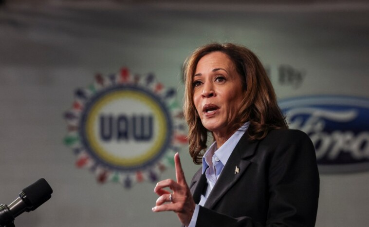 kamala-harris’-small-business-plan-could-cost-taxpayers-a-hefty-$20b-over-the-next-decade:-experts