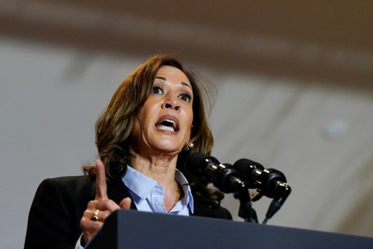 harris-campaign-doubles-down-on-controversial-anti-price-gouging-plan-with-new-ad