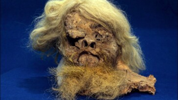 meet-the-‘saltmen’-—-freakishly-well-preserved-ancient-mummies-found-in-iran