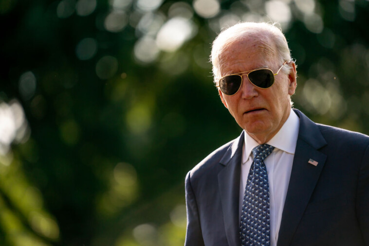 ‘it’s-too-dangerous’:-biden-says-secret-service-‘won’t-let’-him-go-places-with-large-crowds