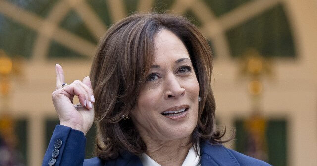 report:-kamala-harris-to-unveil-more-policies-after-releasing-soviet-style-schemes