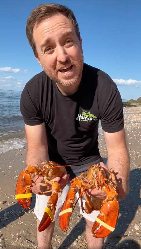 two-‘1-in-30-million’-orange-lobsters,-tangerine-and-navel,-saved-from-li-supermarkets-a-week-after-another-was-rescued-in-the-hamptons