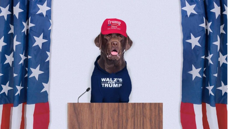 tim-walz’s-dog-endorses-trump