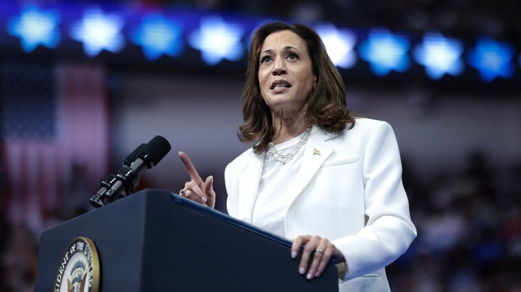 political-analyst-warns-harris-could-lose-key-battleground-state:-‘almost-certainly-not-going-to-win’-without