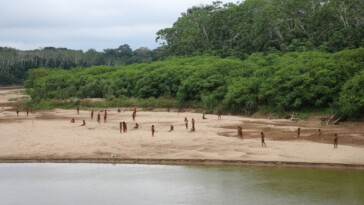 world’s-largest-isolated-tribe-kills-two-loggers-with-arrows-in-amazon-forest