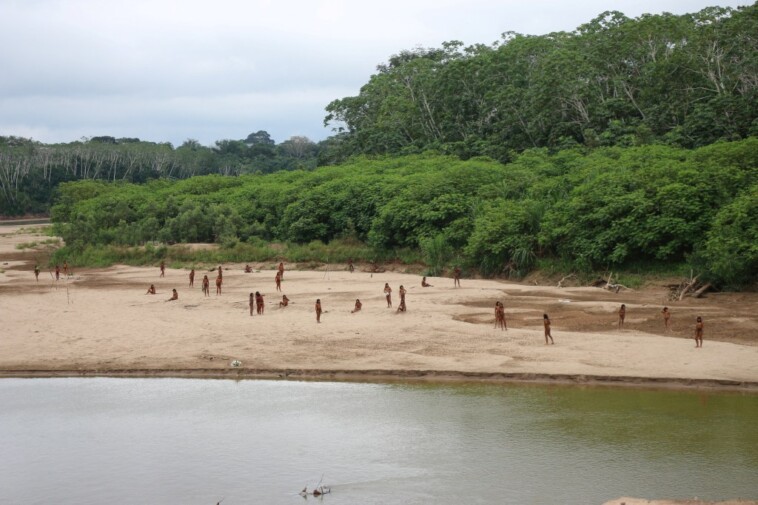 world’s-largest-isolated-tribe-kills-two-loggers-with-arrows-in-amazon-forest