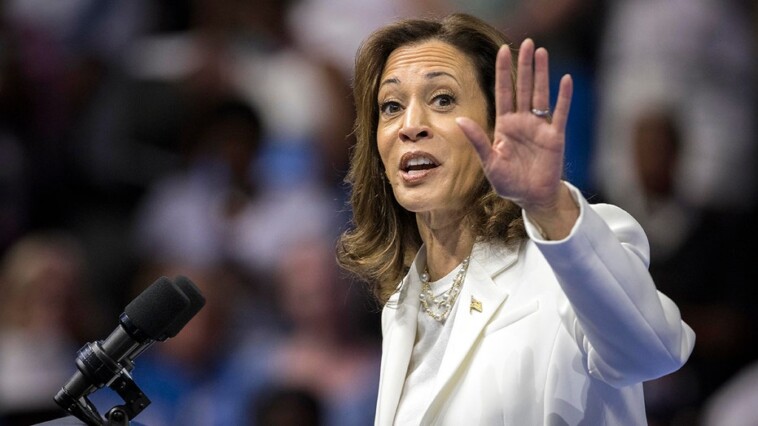 46-days:-kamala-harris-has-yet-to-do-formal-press-conference-since-emerging-as-democratic-nominee