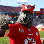 chiefs-superfan-xaviar-babudar-aka-‘chiefsaholic’-sentenced-to-17.5-years-in-prison-for-bank-robbery-spree