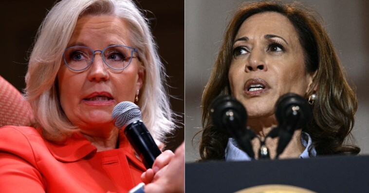 liz-cheney’s-old-post-about-kamala-comes-back-to-haunt-her-after-the-former-congresswoman-backs-harris