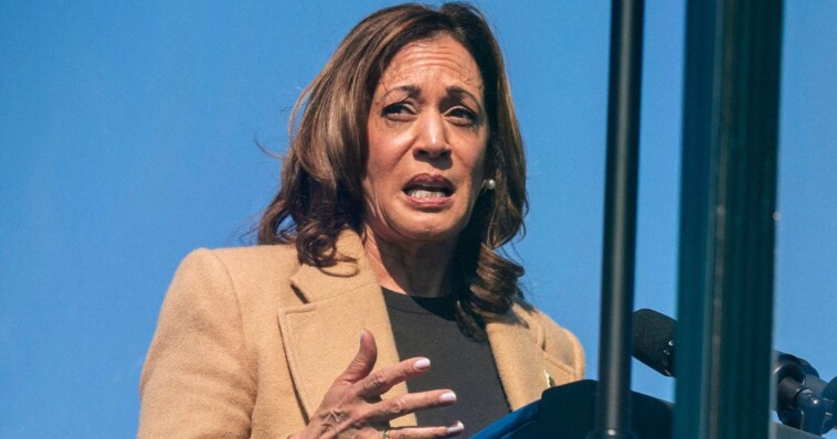 cnn-political-director-points-out-‘trouble-sign-for-harris’-in-new-poll