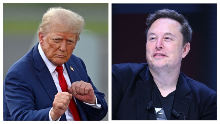 musk-pitches-amazing-offer-to-work-for-trump