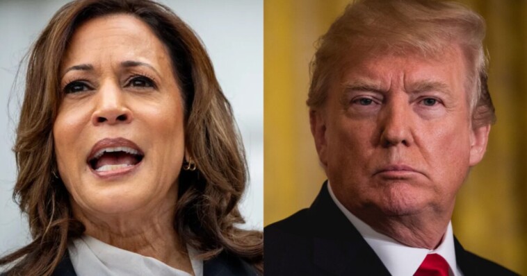 wayne-root:-this-is-all-president-trump-has-to-say-to-close-the-presidential-debate-with-commie-kamala-harris