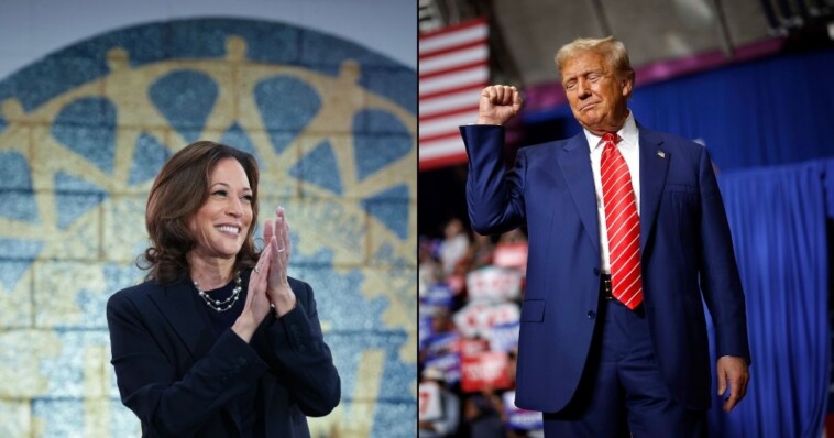 court-of-appeals-in-swing-states-drop-major-ruling,-hurting-kamala-harris’-chances-against-trump