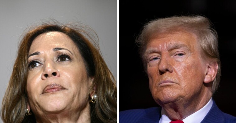 prominent-pollster’s-election-model-shows-surge-for-trump-as-kamala-gets-bad-news-from-swing-states