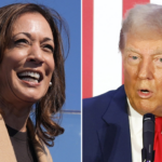 allan-lichtman-predicts-harris-as-2024-winner-because-‘democrats-got-smart’-and-did-this