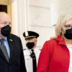 liz-cheney:-‘dick-cheney-will-be-voting-for-kamala-harris’