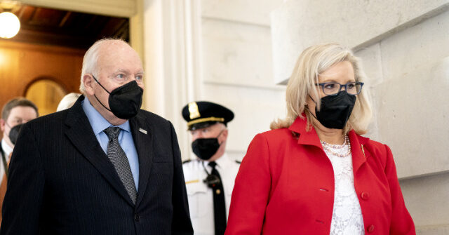 liz-cheney:-‘dick-cheney-will-be-voting-for-kamala-harris’