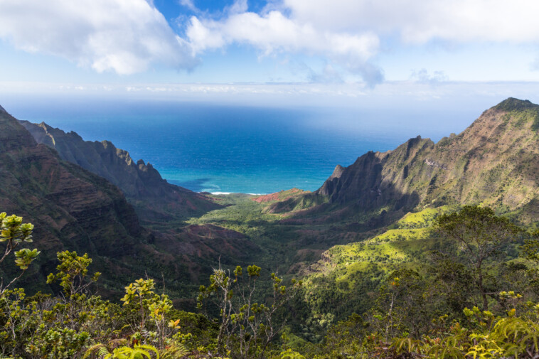 hawaii’s-popular-kalalau-trail-closes-after-24-hikers-contract-norovirus-—-and-many-blame-defecating-squatters