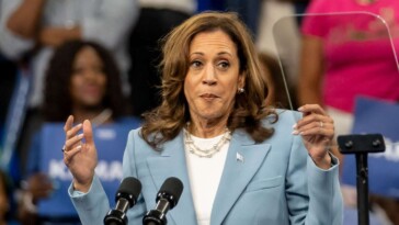 kamala-quietly-asks-aides-if-she-should-just-try-sleeping-with-the-economy