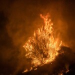 evacuations-ordered-as-wildfire-burns-in-foothills-of-national-forest-east-of-la