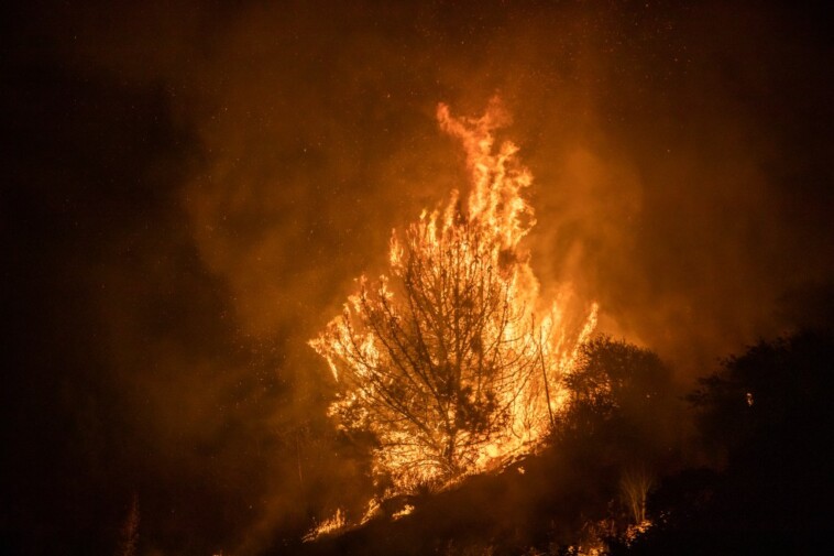 evacuations-ordered-as-wildfire-burns-in-foothills-of-national-forest-east-of-la