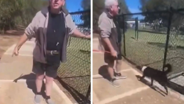 fiery-clash-erupts-at-australian-dog-park-over-unleashed-pet:-‘call-the-cops’