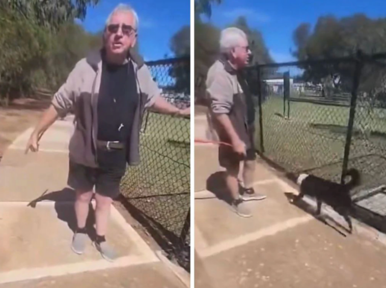 fiery-clash-erupts-at-australian-dog-park-over-unleashed-pet:-‘call-the-cops’