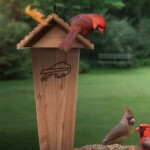 bills-poke-fun-at-cardinals-with-birdhouse-themed-troll