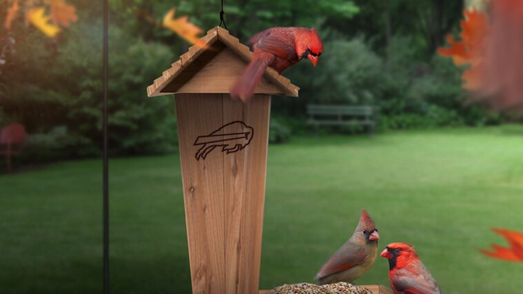 bills-poke-fun-at-cardinals-with-birdhouse-themed-troll