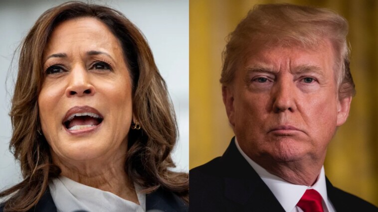 trump-camp-dismantles-kamala-harris’s-campaign-policy-page-dubbed-“a-new-way-forward”-released-in-the-dead-of-the-night