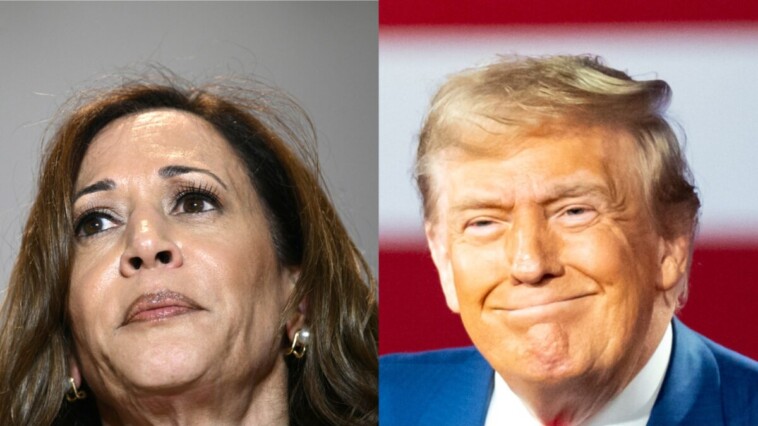 kamala’s-momentum-gone-trump-regains-lead.